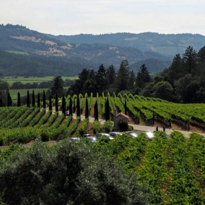 wine country napa sonoma san francisco