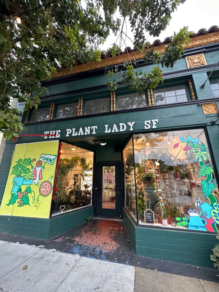 the plant lady sf san francisco ingleside ocean aveune askmesf ocean avenue in sf