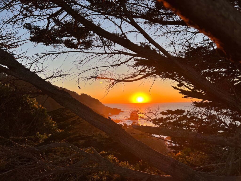 lands end trail san francisco urban hike